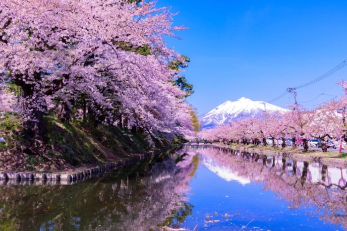 青森住宿